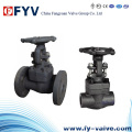 API602 F304L/F3016L Forged Steel Gate Valve